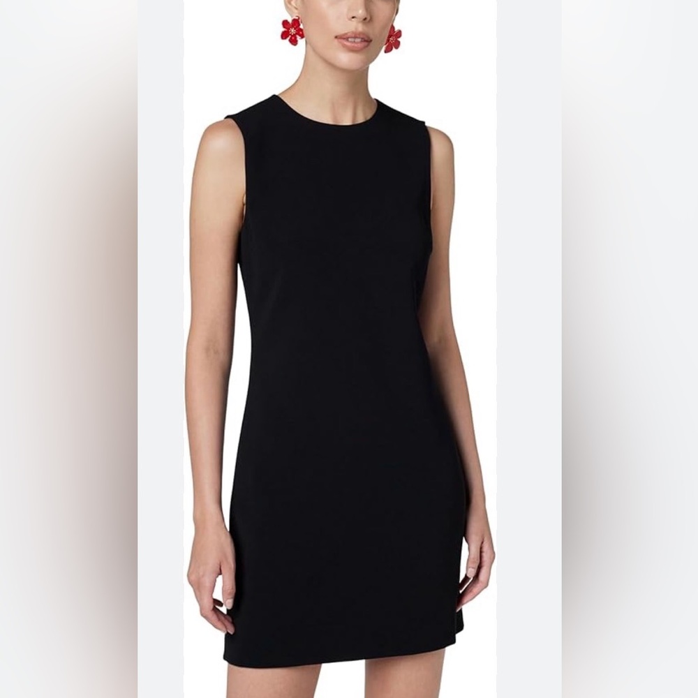 Zara Black Sleeveless Mini Dress